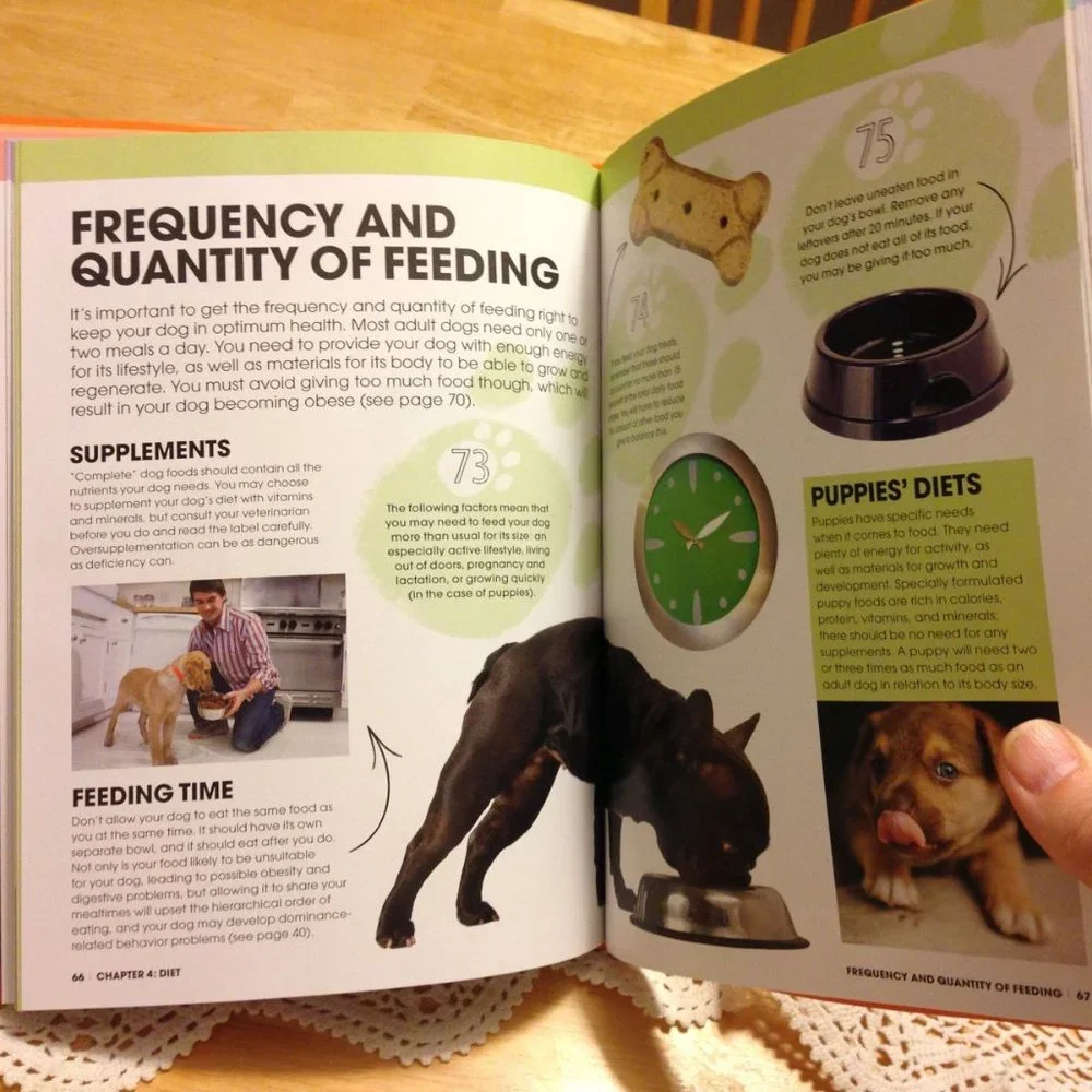 Pet Care Book, Happy Dog - tips for a happy dog